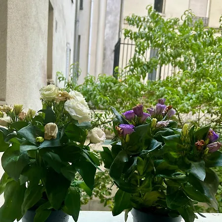 Bohemian باريس